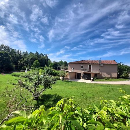 Villa Krizanci Žminj Extérieur photo