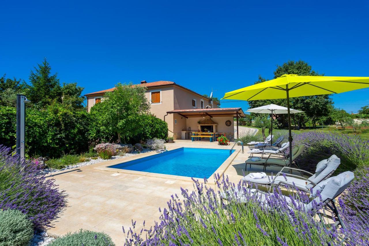 Villa Krizanci Žminj Extérieur photo